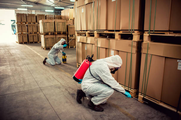 Flea Control Services in Terrell Hills, TX