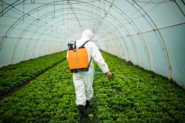 Best Affordable Pest Control Services  in Terrell Hills, TX