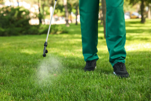 Best Emergency Pest Control  in Terrell Hills, TX