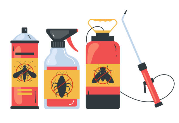 Best Termite Control Services  in Terrell Hills, TX